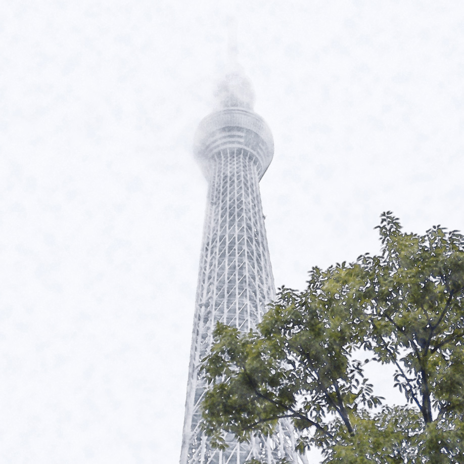 %e6%b0%b4%e5%bd%a9%e3%82%b9%e3%82%ab%e3%82%a4%e3%83%84%e3%83%aa%e3%83%bc