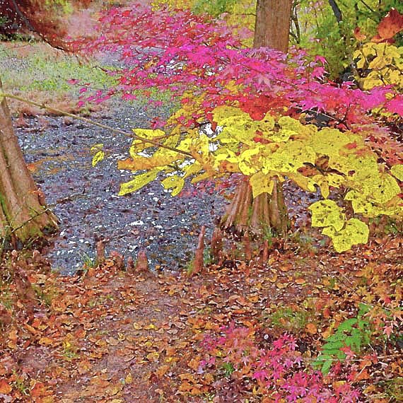 芦屋プラン株式会社　2021 神戸市立森林植物園4