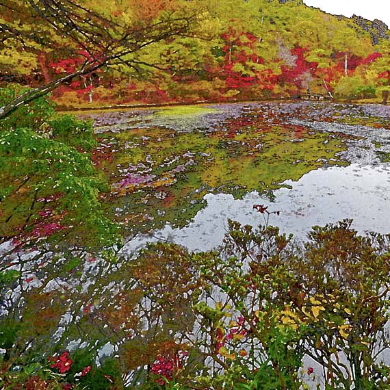 芦屋プラン株式会社　2021 神戸市立森林植物園3