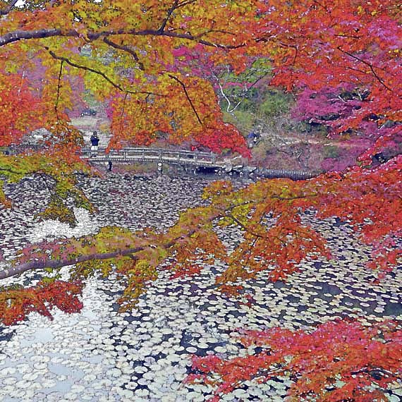 芦屋プラン株式会社　2021 神戸市立森林植物園2