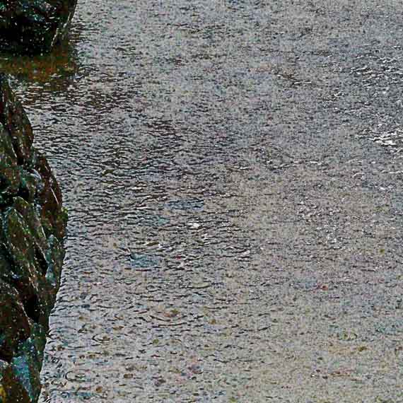 芦屋プラン株式会社　2021 京都府立関西文化学術研究都市記念公園