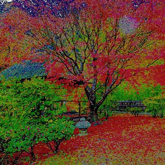 芦屋プラン株式会社　2021 京都府立関西文化学術研究都市記念公園5