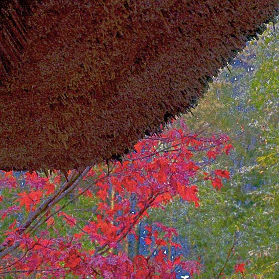 芦屋プラン株式会社　2021 京都府立関西文化学術研究都市記念公園6