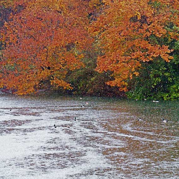 芦屋プラン株式会社　2021 京都府立関西文化学術研究都市記念公園7