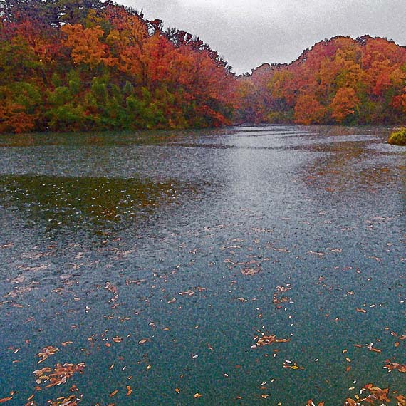 芦屋プラン株式会社　2021 京都府立関西文化学術研究都市記念公園8